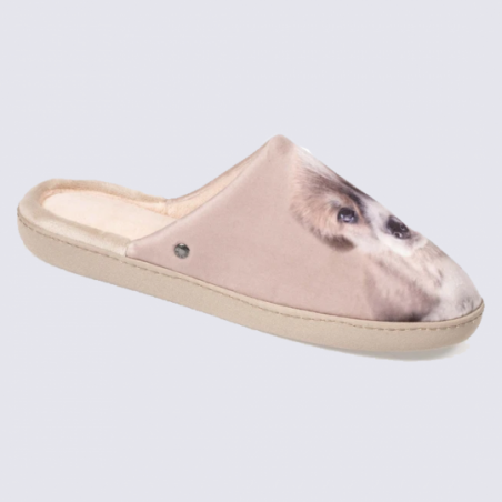 Chaussons ballerines 3d beige Isotoner