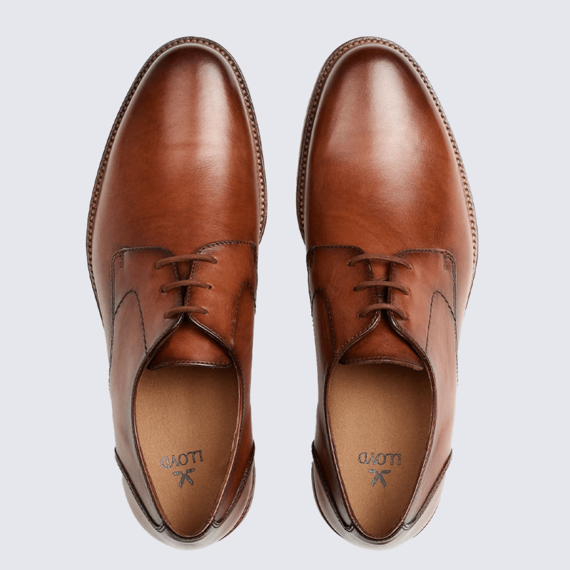 Chaussure LLOYD, chaussure homme en cuir lisse cognac