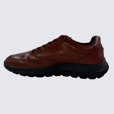 Baskets ECCO, Baskets chic pour homme en cuir vison/brun